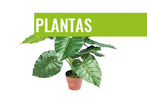 DECO_plantas
